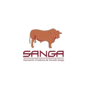 SANGA SANGA