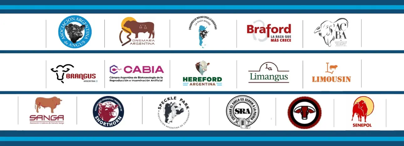 Tira Logos Miembros Foro